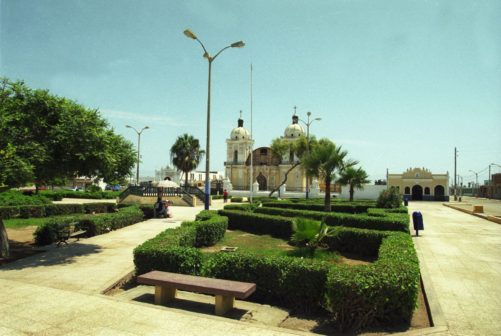 chilca