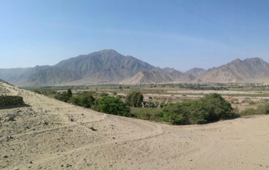 caral